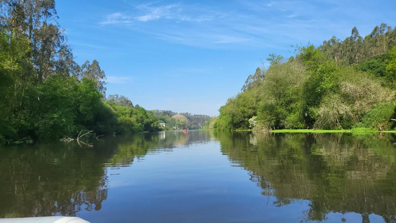 Riverhouse - Near River - Near Ocean - Near بورتو المظهر الخارجي الصورة